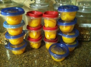 YES!! Lots of peaches and saved lots of money!  Throw those in the fridge and they are perfect to grab for lunches or a snack!