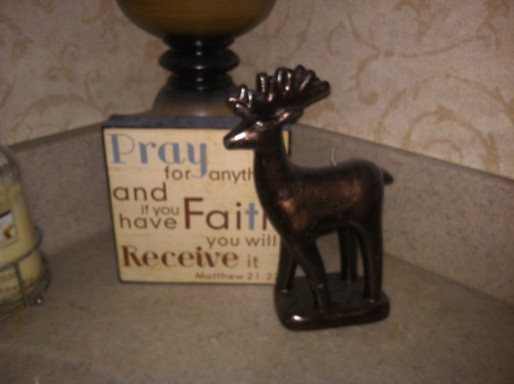 I found this cute reindeer candle, He is in our downstairs bath, total cost $1.00!