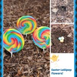 Growing Easter Lollipops!
